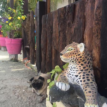 جزيرة هول بوكس Hotel Hacienda La Catrina المظهر الخارجي الصورة