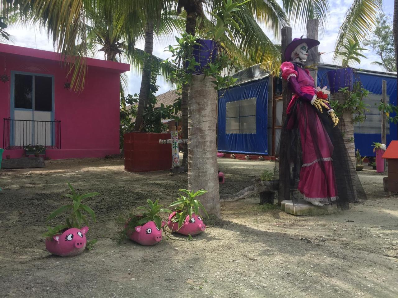 جزيرة هول بوكس Hotel Hacienda La Catrina المظهر الخارجي الصورة
