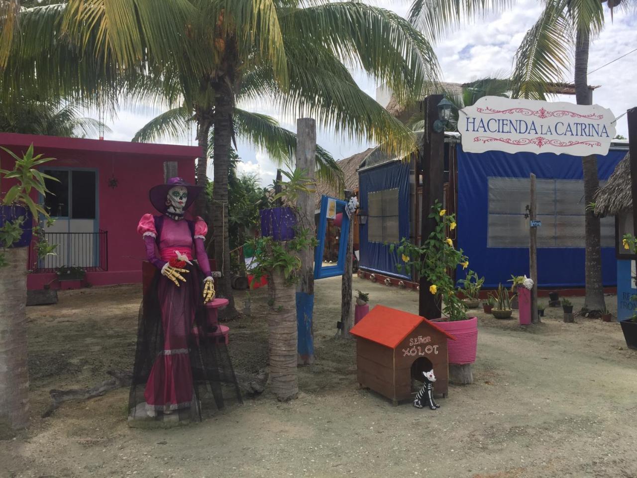 جزيرة هول بوكس Hotel Hacienda La Catrina المظهر الخارجي الصورة